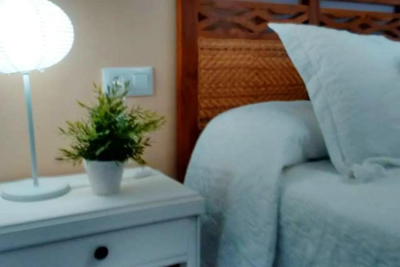 Charming Terrace Apartment: El Puerto de Santa Maria Apartment
